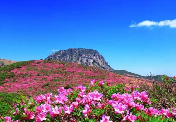 漢拿山 登山攻略 漢拿山 登山攻略