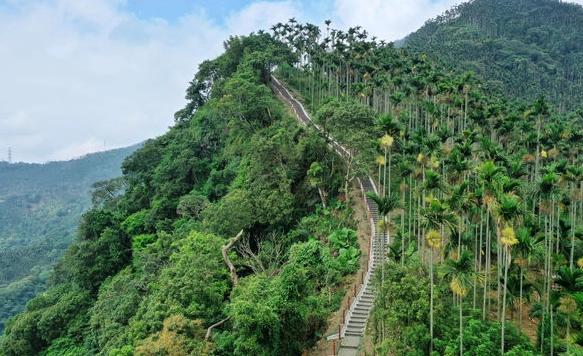 嘉義一日遊 嘉義一日遊