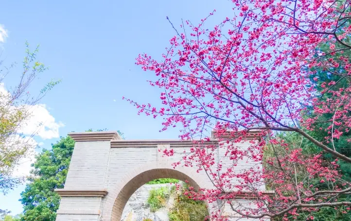 花博公園圓山園區美食