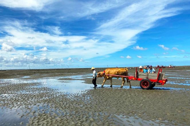 芳苑海牛車隊 芳苑海牛車隊