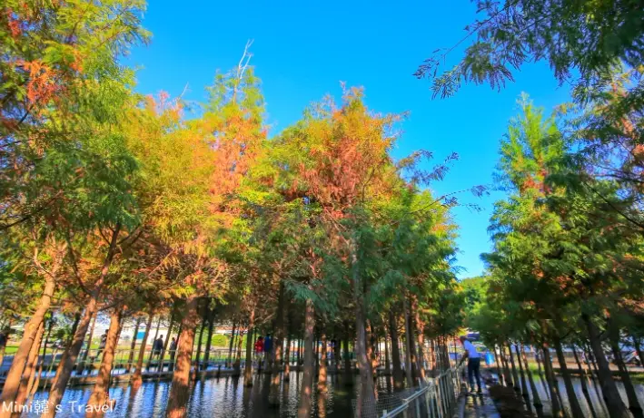 台中景點推薦 台中景點推薦