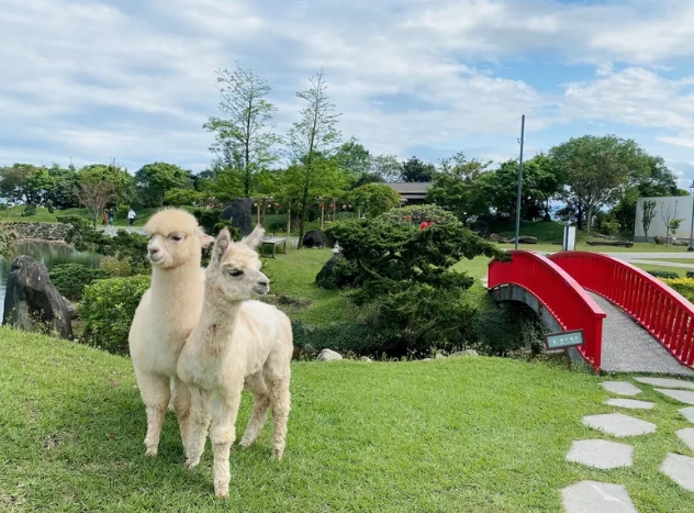 宜蘭動物農場 宜蘭動物農場