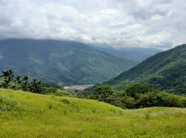 初音山榕樹社區 交通