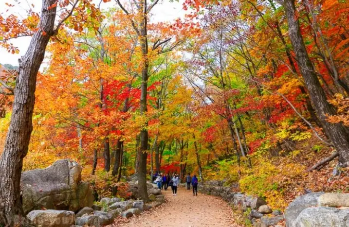 雪嶽山三天兩夜