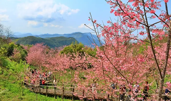 嘉義一日遊 嘉義一日遊