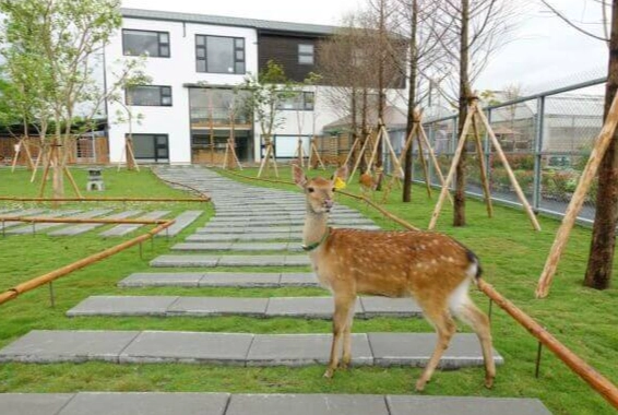 動物農場推薦 動物農場推薦