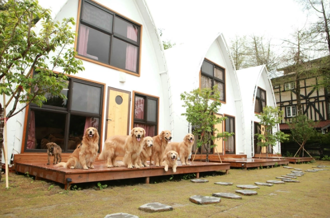 帶寵物住宿南投