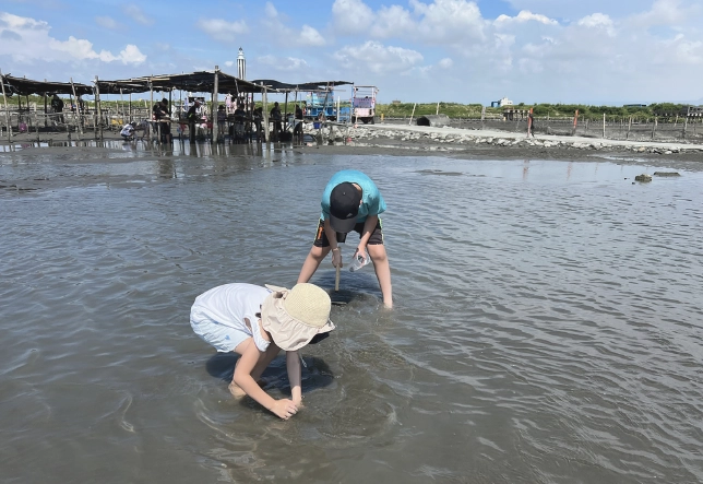王功採蚵一日遊