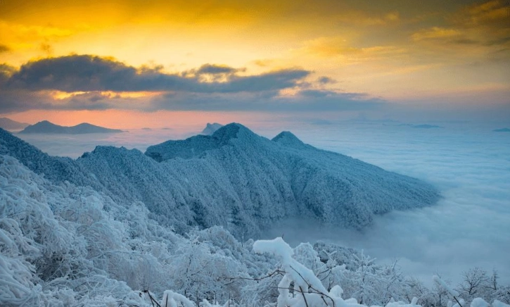 仁王山交通 仁王山交通