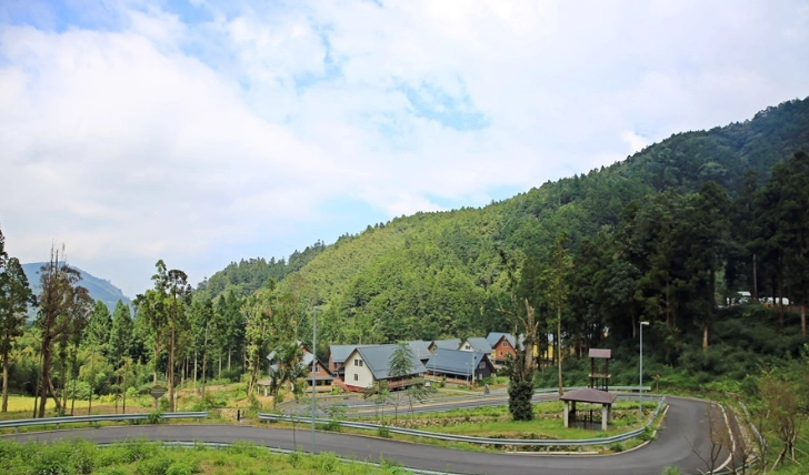 阿里山公路一日遊 阿里山公路一日遊