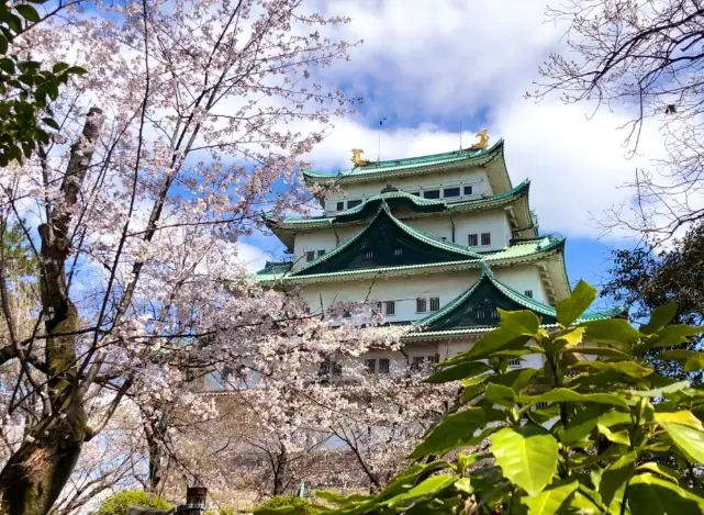 名古屋 深度旅遊 名古屋 深度旅遊