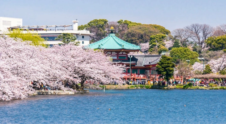 東京上野旅遊攻略