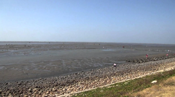 王功濕地 潮間帶 王功濕地 潮間帶