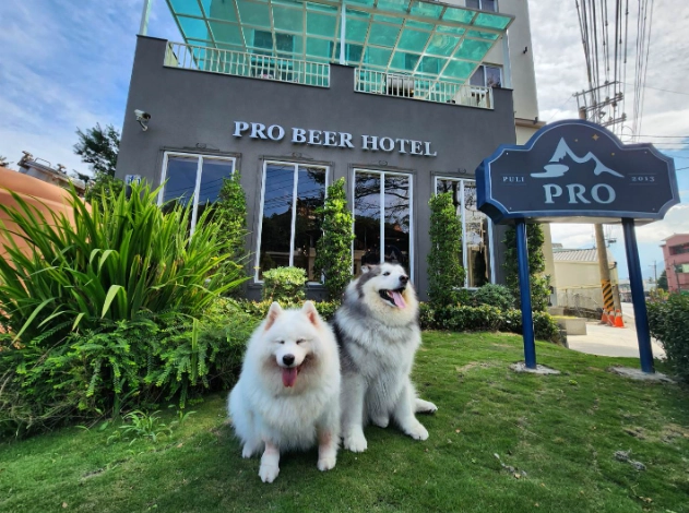 埔里帶寵物住宿 埔里帶寵物住宿