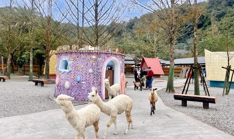 宜蘭親子農場 宜蘭親子農場