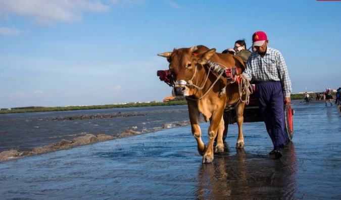 芳苑潮間帶 芳苑潮間帶