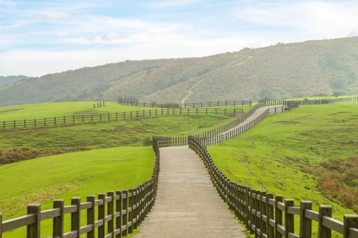台北近郊爬山 台北近郊爬山