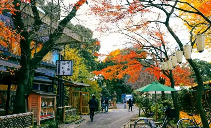 上野公園附近景點