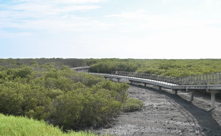 海牛體驗 海牛體驗