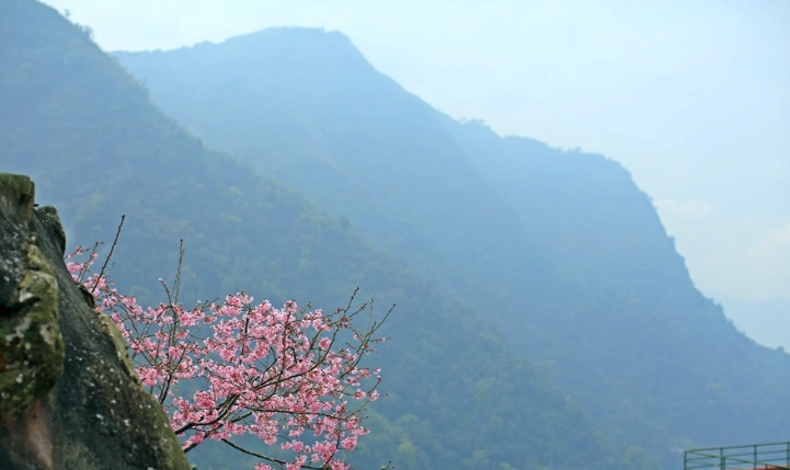 阿里山公路沿線景點