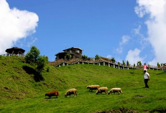 清境住宿 清境住宿