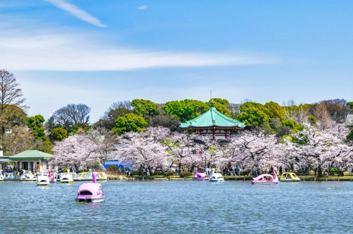 東京上野旅遊攻略