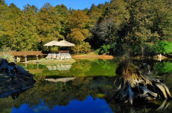 阿里山三天兩夜行程規劃