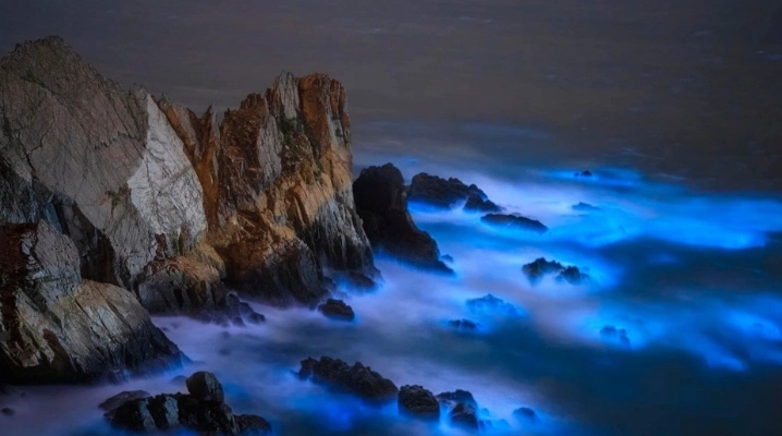 馬祖藍眼淚季節