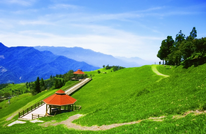 清境農場自駕攻略