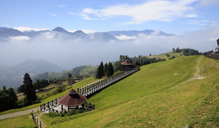 清境農場自駕攻略