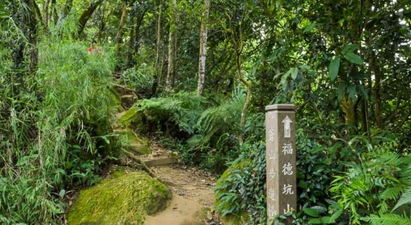 三峽登山步道推薦