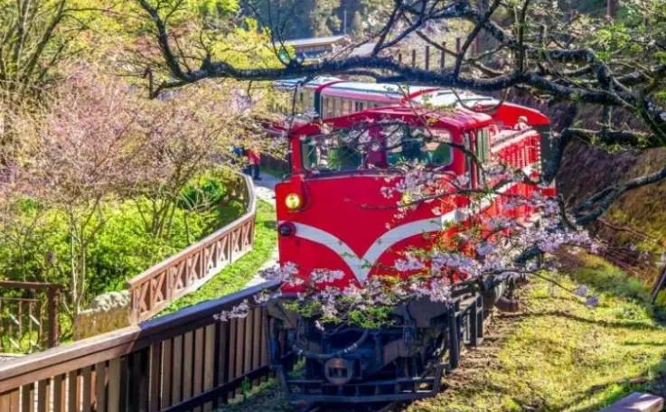 阿里山三天兩夜