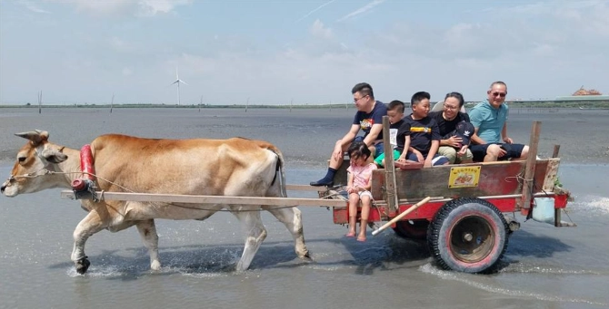 王功潮間帶生態