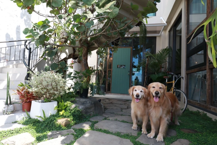 墾丁帶寵物餐廳