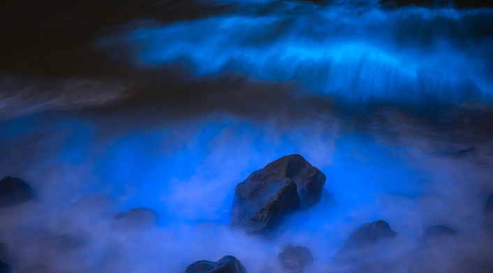 藍眼淚南竿北竿