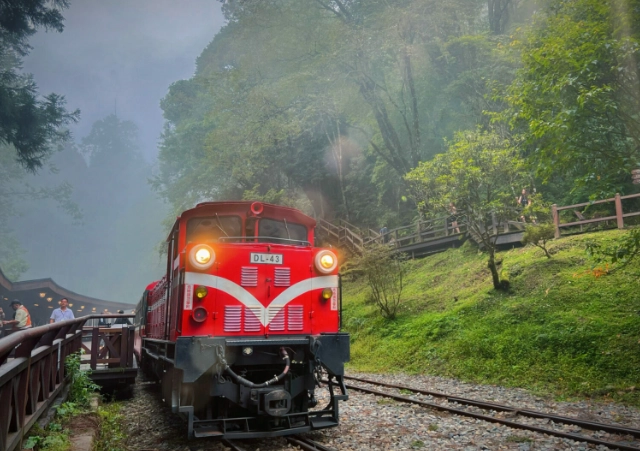 阿里山 自由行