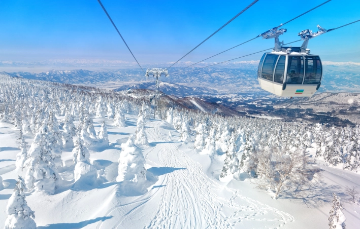 銀山溫泉藏王樹冰