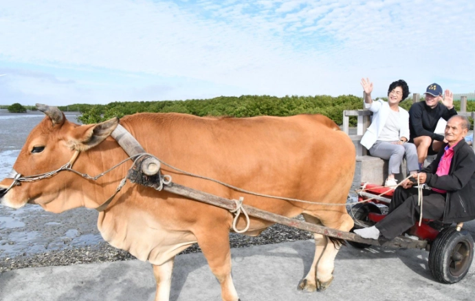 芳苑海牛一日遊