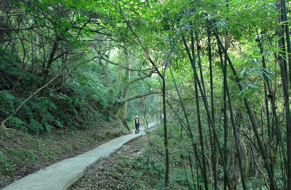 楊梅福人步道怎麼去