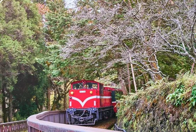 阿里山開車路線