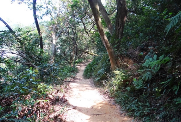 楊梅福人步道怎麼去