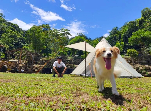 阿里山寵物友善