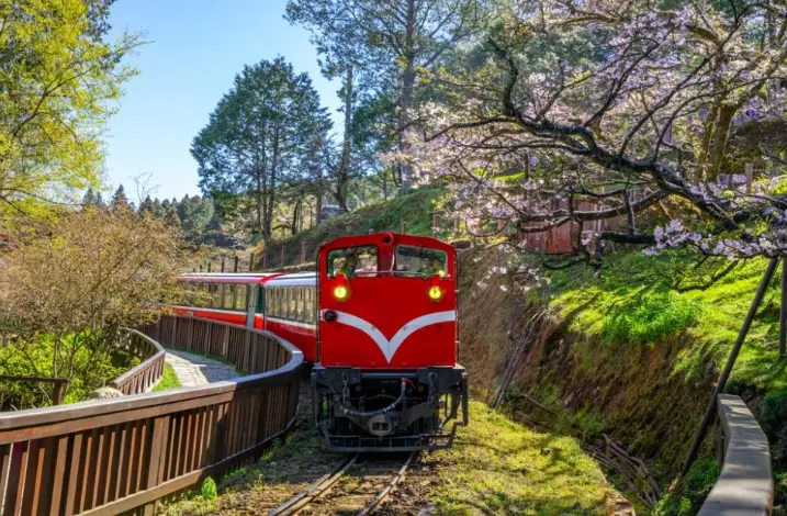 阿里山自駕行程