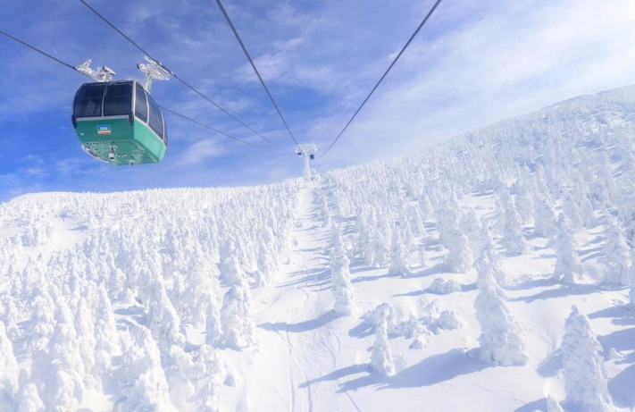 銀山溫泉藏王樹冰