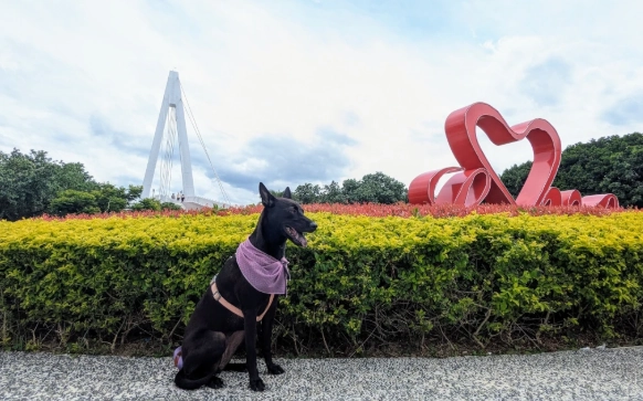 寵物友善餐廳 台北