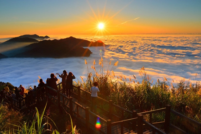 阿里山寵物規定