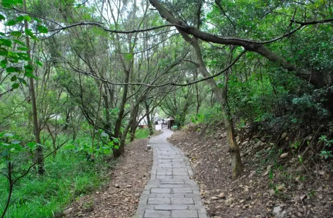楊梅福人步道交通