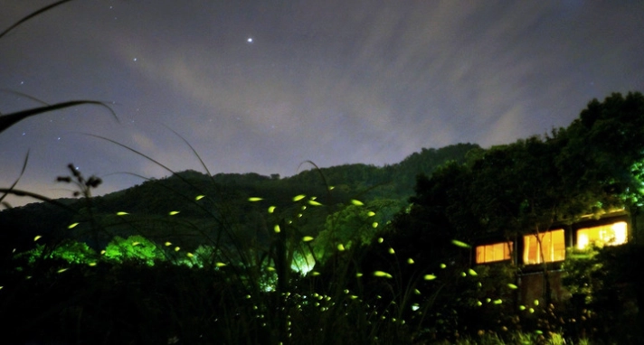 台灣賞螢住宿