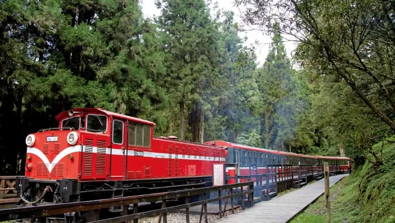 阿里山自駕行程