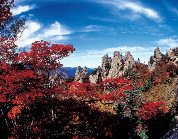 雪嶽山楓葉